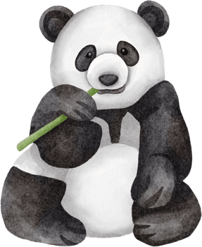 panda watercolor clip art png