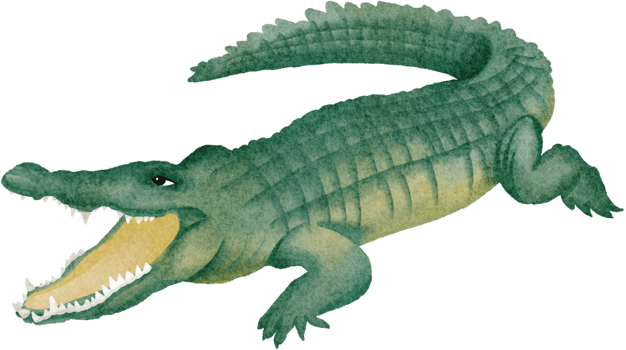 watercolor crocodile clip art png