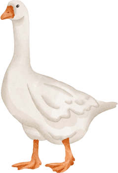 watercolor goose clip art png