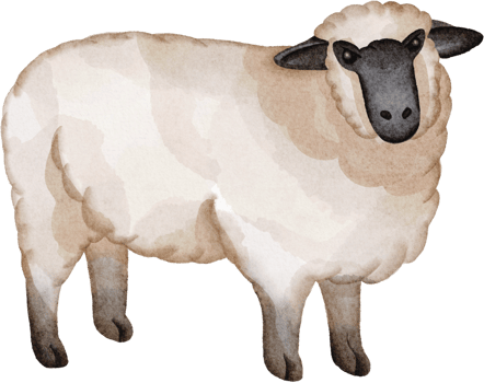 watercolor sheep clip art png