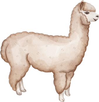 watercolor alpaca clip art png