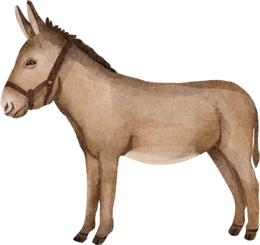 watercolor donkey clip art png