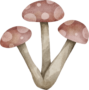 watercolor mushroom clip art png