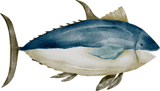watercolor tuna cartoon png