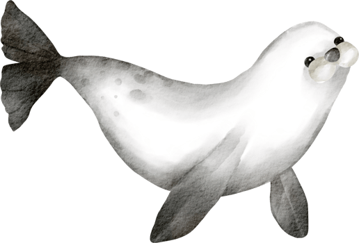 watercolor seal cartoon png