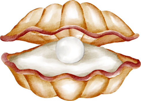 watercolor shellfish cartoon png