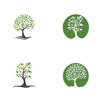 family tree logo template vector
