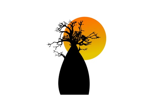 Boab or Baobab Tree Vector isolated, tree silhouette logo concept icon, illustration sign isolated on sunset  background
