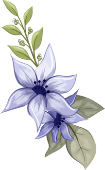 Purple Floral Bouquet With Watercolor png