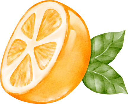 watercolor orange clip art png