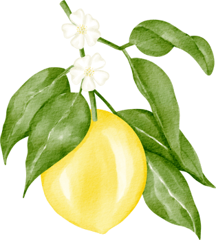 watercolor lemon tree png
