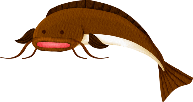 catfish watercolor clip art png