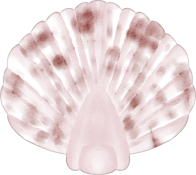 watercolor sea animal png