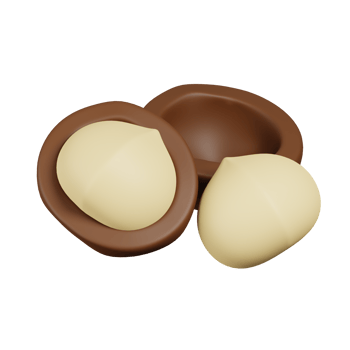 Macadamia nuts isolated. 3D render of Nuts, seeds and grains icon png
