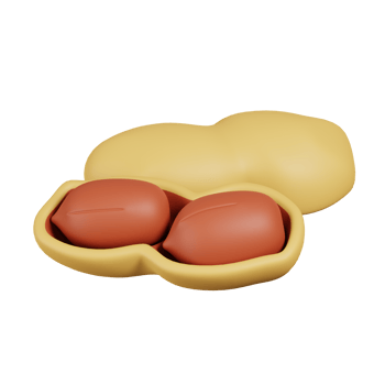 Peanuts isolated. 3D render of Nuts, seeds and grains icon png