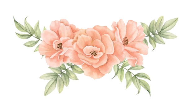 Watercolor peach-pink Roses with green leaves. Hand drawn illustration of floral bouquet in pastel creamy colors on isolated background. Drawing of delicate Flowers for wedding invitations or cards vector