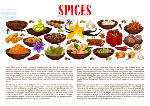 Spices, condiments and food seasoning banner vector