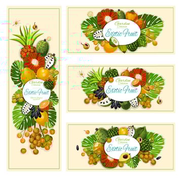 Exotic tropical fruits harvest banners vector