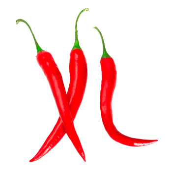 Red peppers isolated png