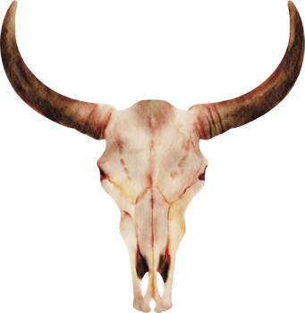 bull skull cowboy png