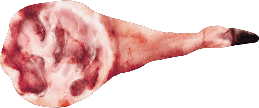 watercolor ham pork png