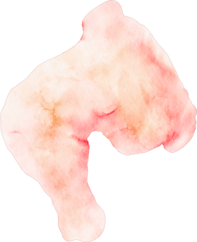 watercolor chicken leg png