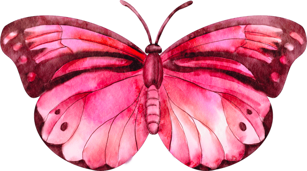 watercolor butterfly pink png