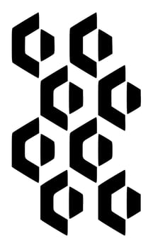 Black and white beautiful vector motifs