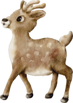 watercolor reindeer animal winter png