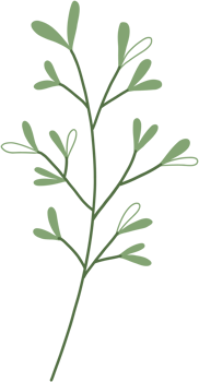 simplicity floral freehand drawing. png