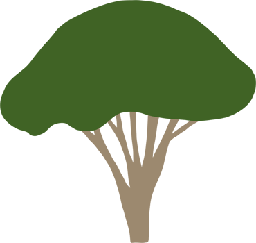 simplicity tree freehand drawing flat design. png