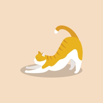 Cat cartoon character vector