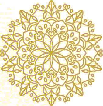 The beautiful Arabesque vector