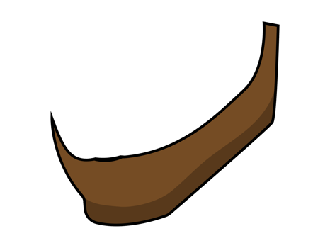 Brown Beard Men png
