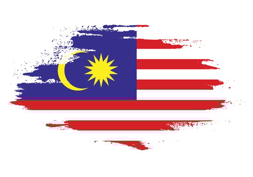 Professional hand paint Malaysia flag vector