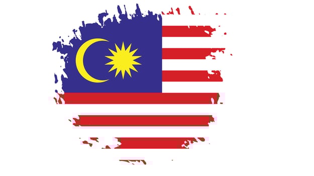 Professional Malaysia grunge flag vector