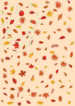 Colorful Autumn fall leaves floral background illustration with maple leaf vector