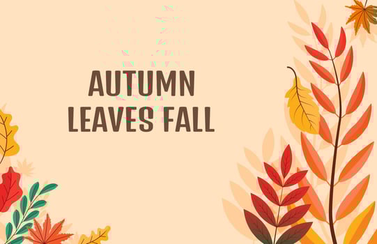 Colorful Autumn fall leaves floral background illustration with maple leaf vector