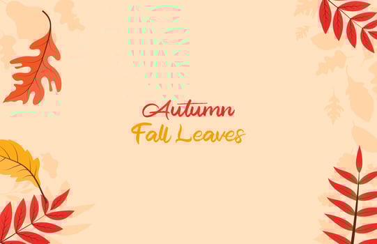 Colorful Autumn fall leaves floral background illustration with maple leaf vector