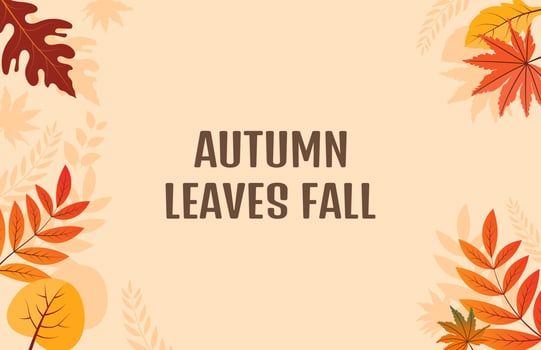 Colorful Autumn fall leaves floral background illustration with maple leaf vector