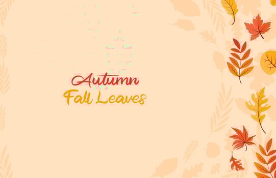 Colorful Autumn fall leaves floral background illustration with maple leaf vector