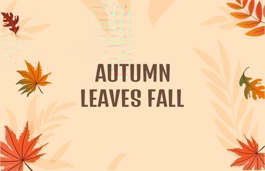 Colorful Autumn fall leaves floral background illustration with maple leaf vector