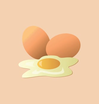 Eggs Illustration on Cream color Background. vector