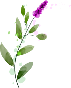 Flower watercolor transparent. png