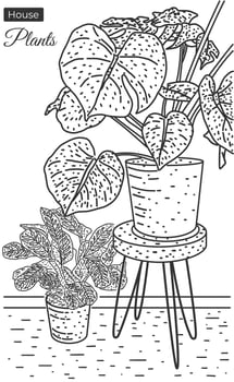 house plants sketch vector illustration