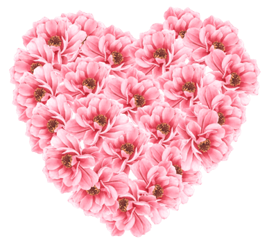 Valentine's Flower watercolor clipart png