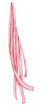 Watercolor Red Foil Balloon element hand painted png