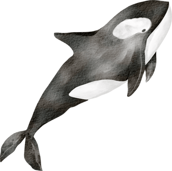 watercolor whale sea animal png