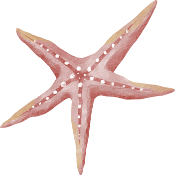 watercolor starfish sea animal png