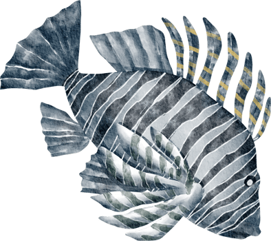 watercolor sea fish png